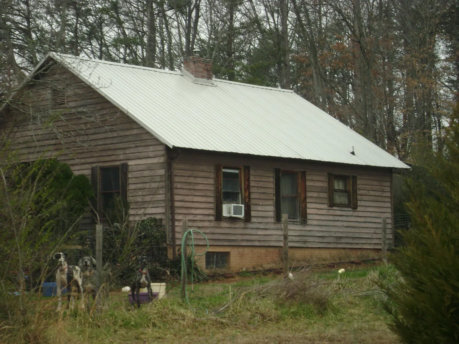 White metal roof on an old wood sided farmhouse, from a Metal Roof Installation job in Eldorado Springs